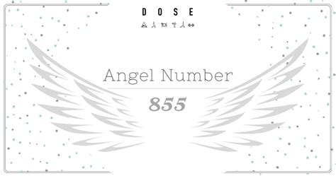 The Significance of Angel Number 855 in Your Twin Flame Journey